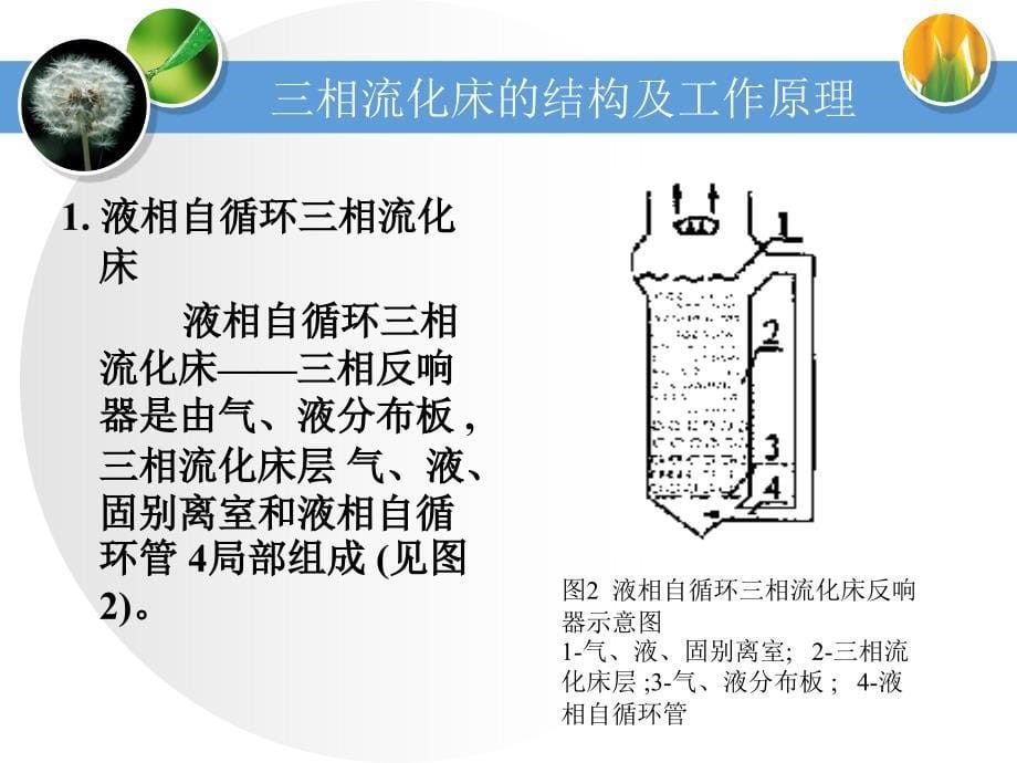 第二章 气液固三相流化床反应器 反应工程（南京工业大学）_第5页