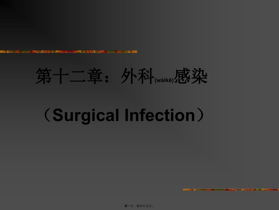 医学专题—外科感染讲义26557_第1页
