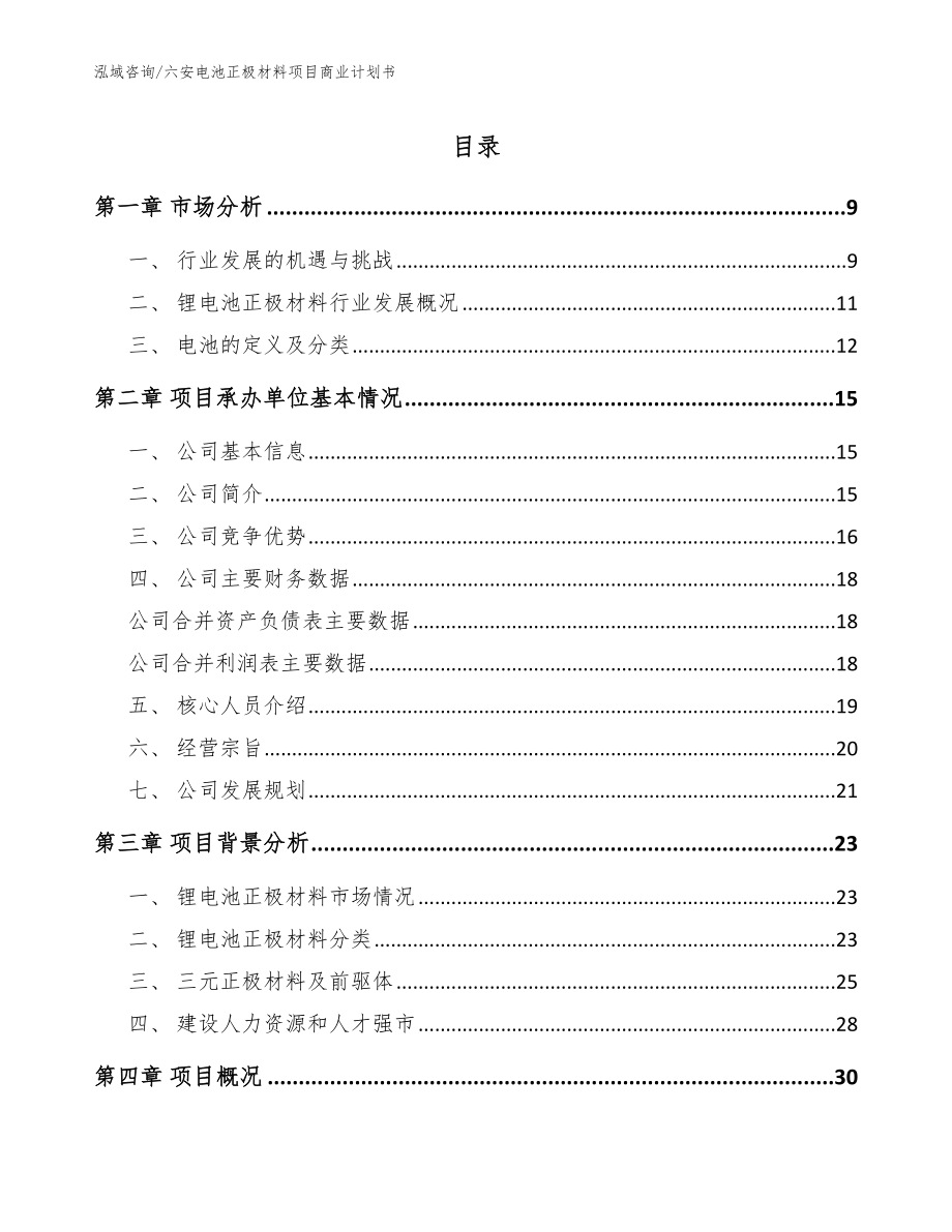 六安电池正极材料项目商业计划书（模板范文）_第1页