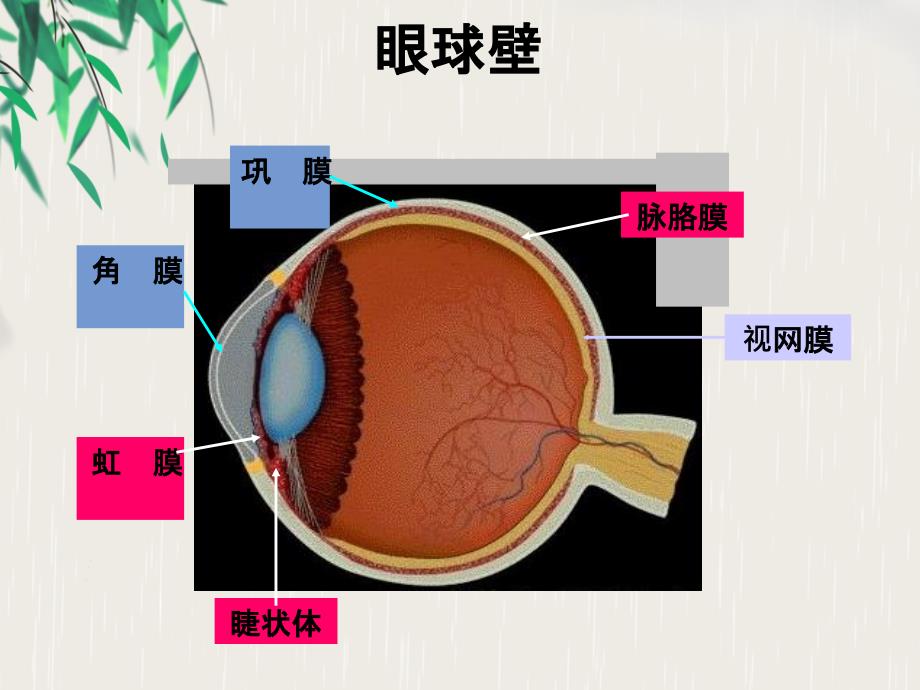 眼科医院青光眼讲座_第4页