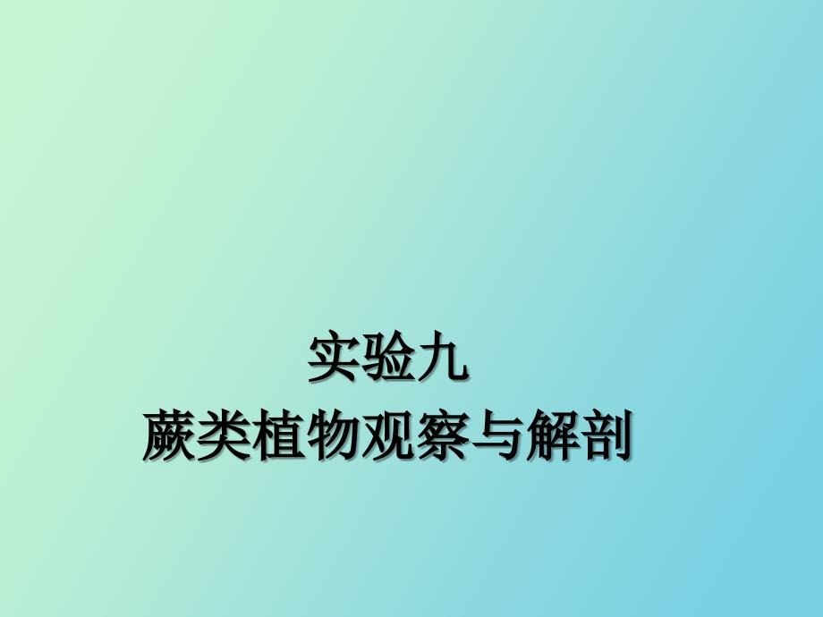 实验九蕨类植物观察及解剖_第1页