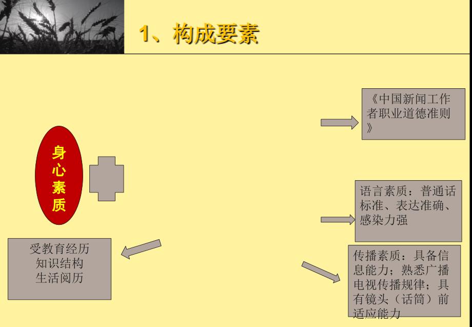 4-.节目主持人汇总_第3页