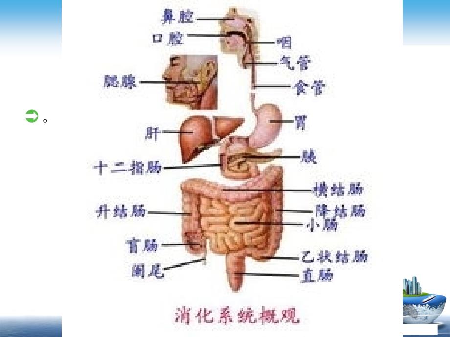 胃肠镜检查前后的护理 课件.ppt_第2页