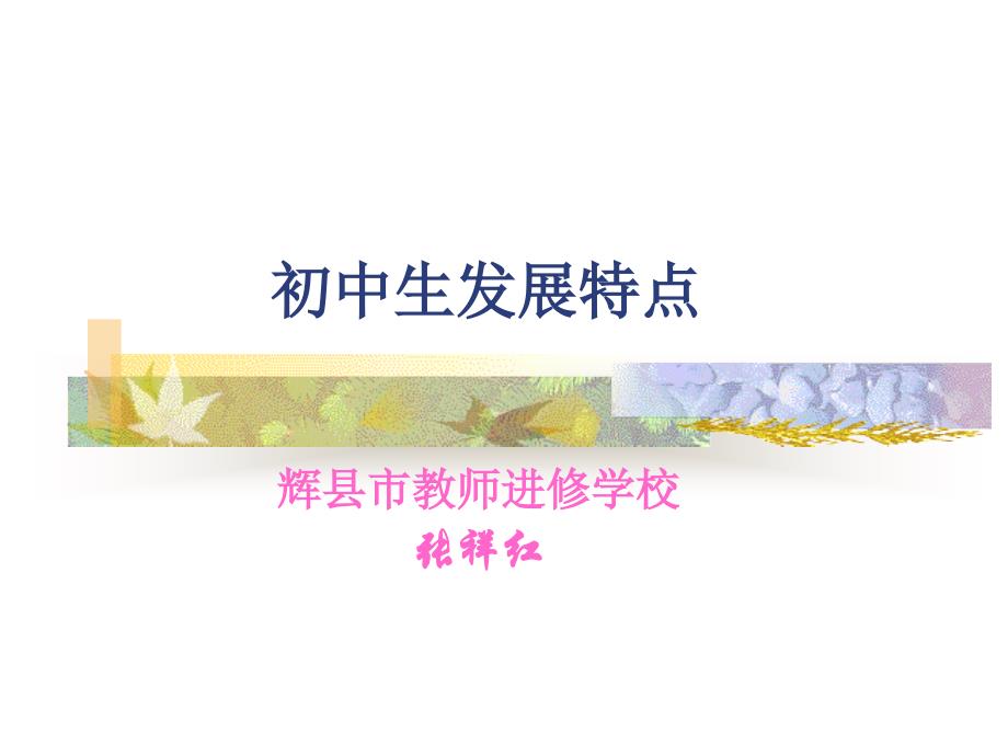 初中生发展特点_第1页