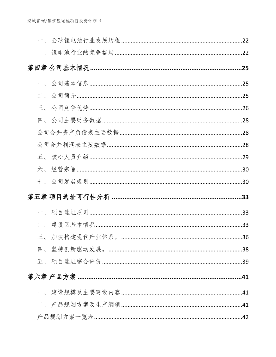 镇江锂电池项目投资计划书（参考模板）_第2页