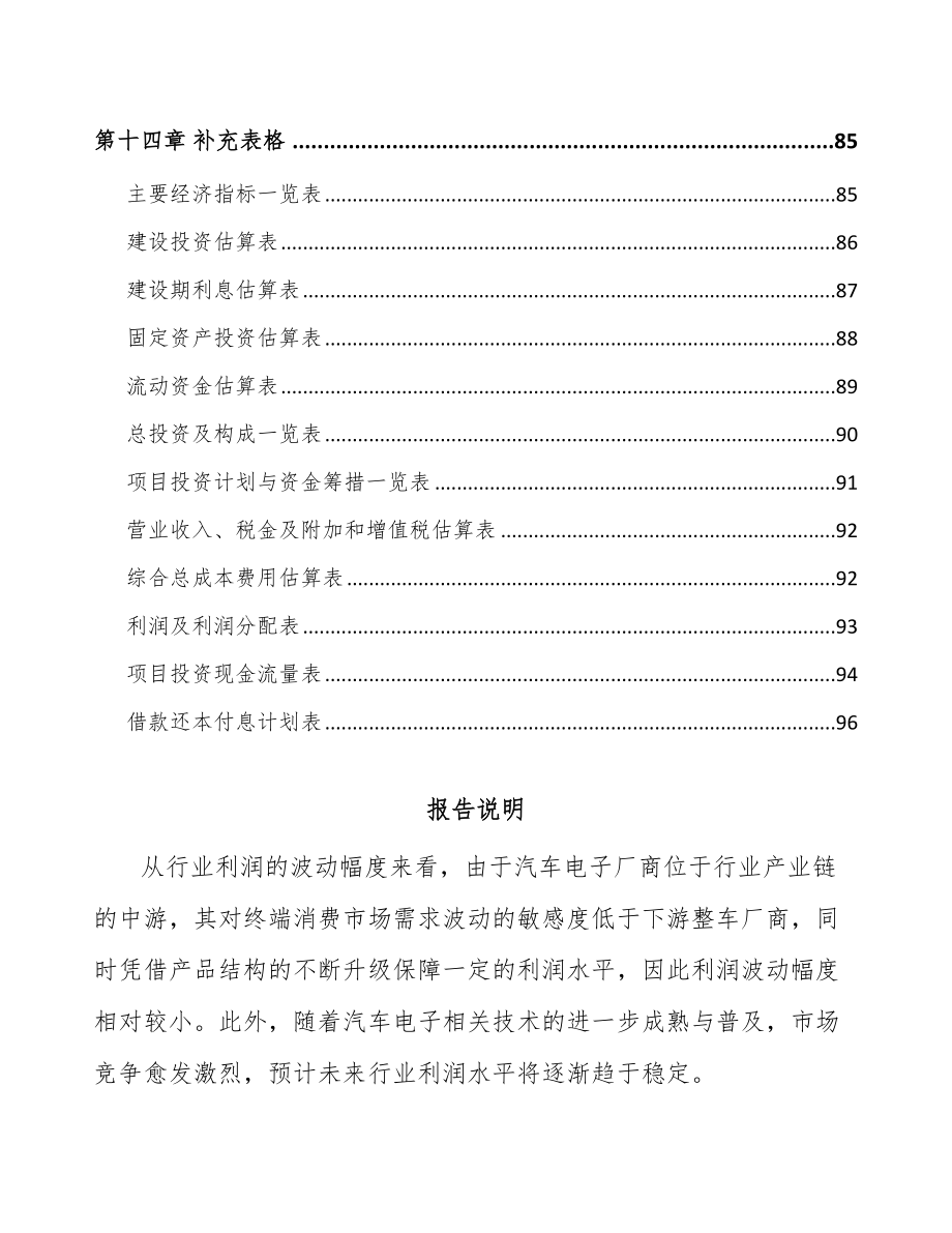 珠海汽车电子控制器项目可行性研究报告_第5页