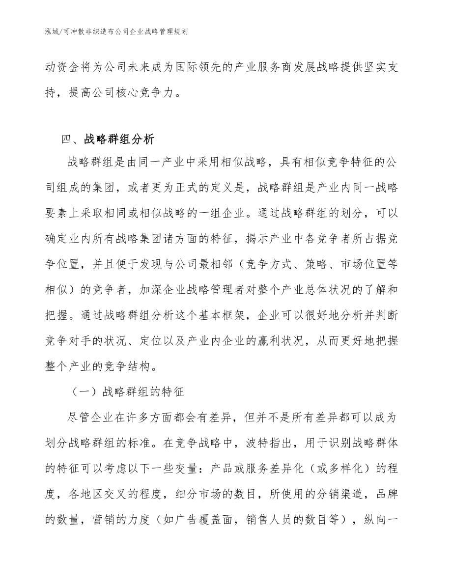 可冲散非织造布公司企业战略管理规划_第5页