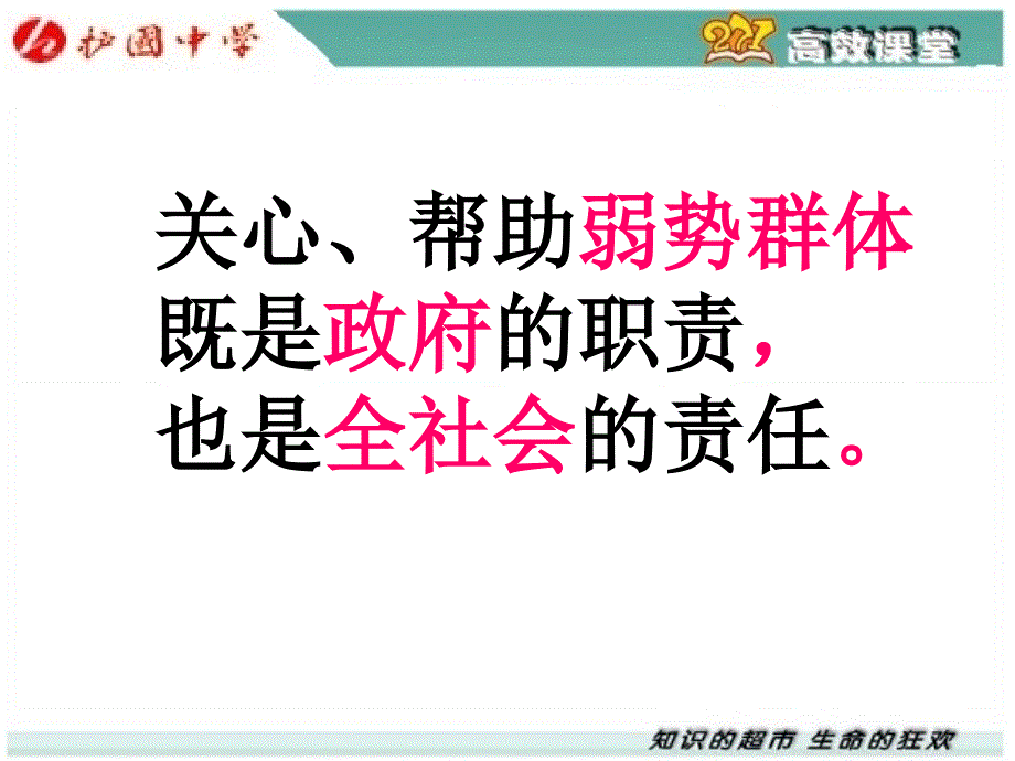 教科版九年级第三单元第九课共享阳光第一课时政府的努力、社会的力量_第4页