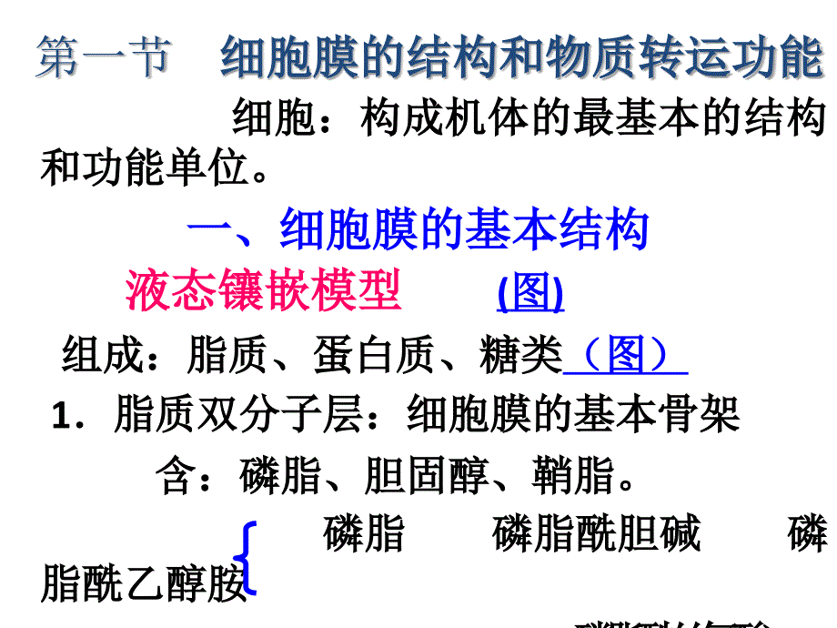 南农 生理学 01章细胞生理_第3页