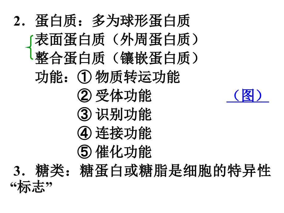 南农 生理学 01章细胞生理_第4页