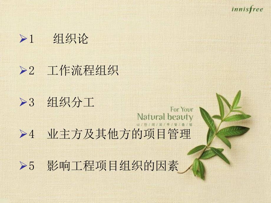 《项目管理组织管理》PPT课件.ppt_第2页