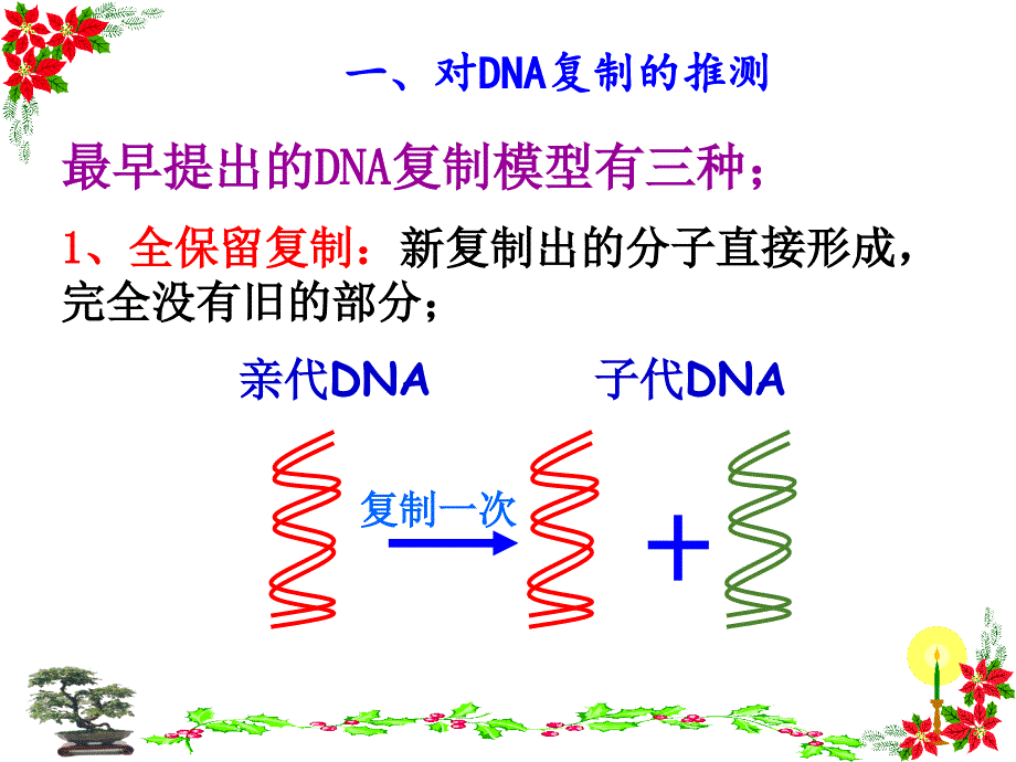 DNA分子的复制PPT课件_第2页