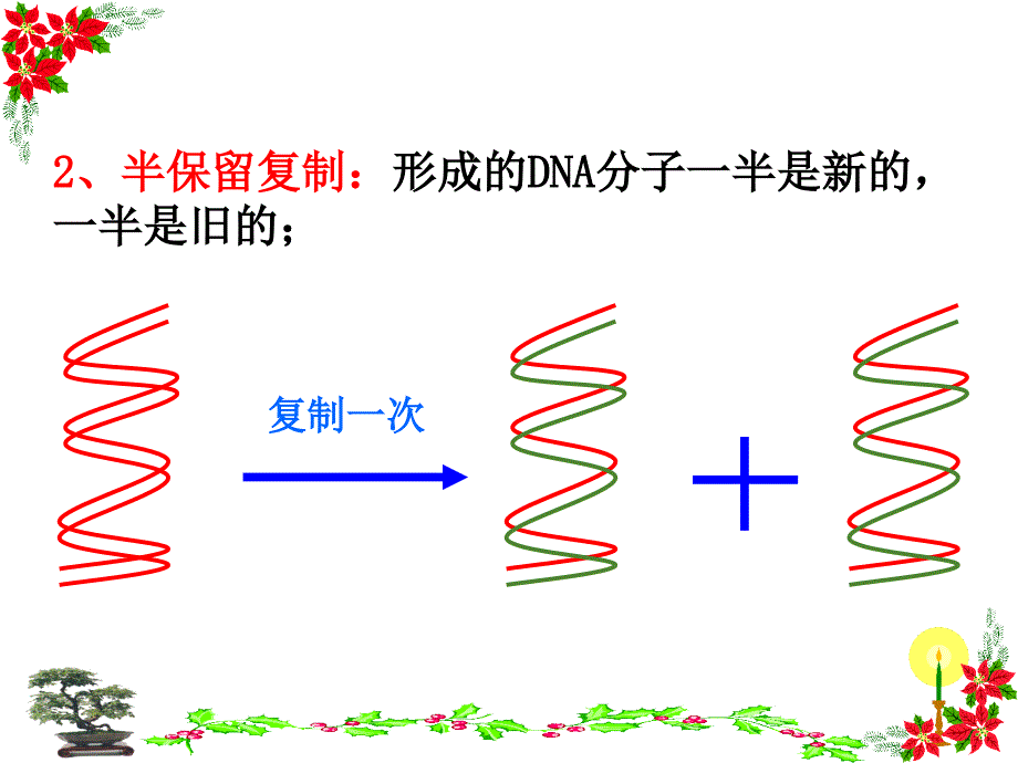 DNA分子的复制PPT课件_第3页