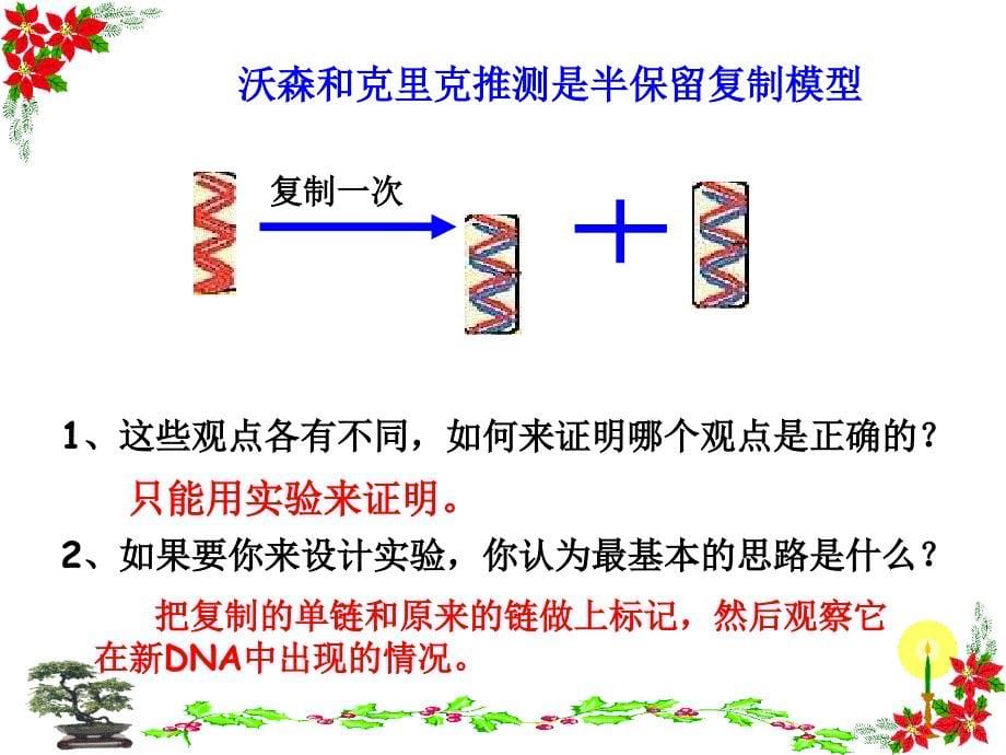 DNA分子的复制PPT课件_第5页