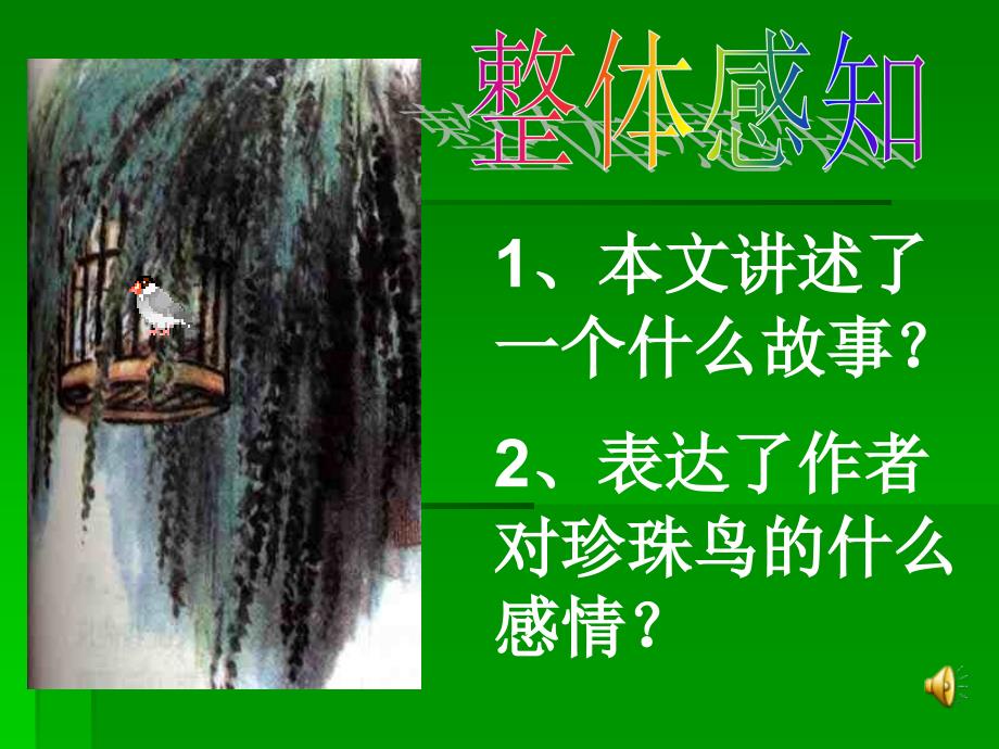 珍珠鸟3教学课件_第4页