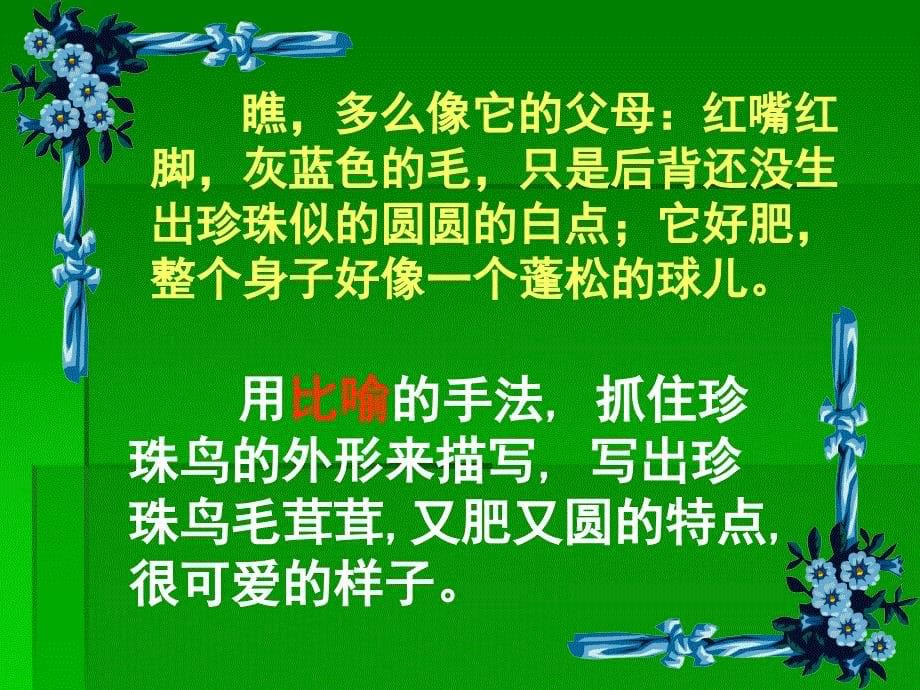 珍珠鸟3教学课件_第5页