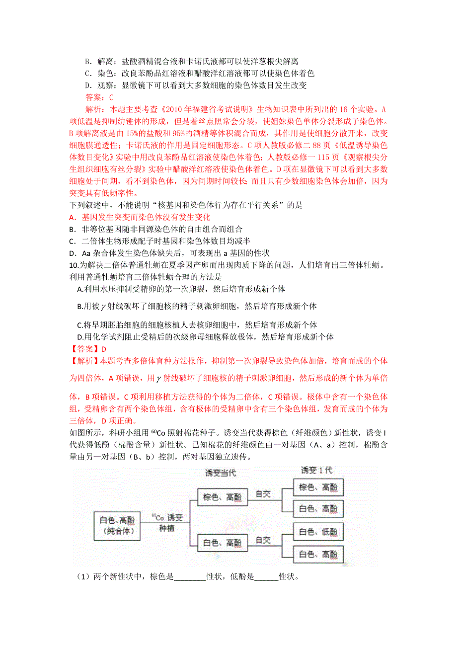 在白花豌豆品种栽培园中.doc_第2页