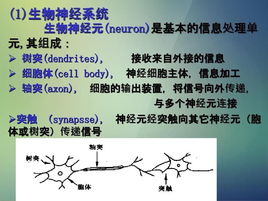 人工神经网络B课件_第5页