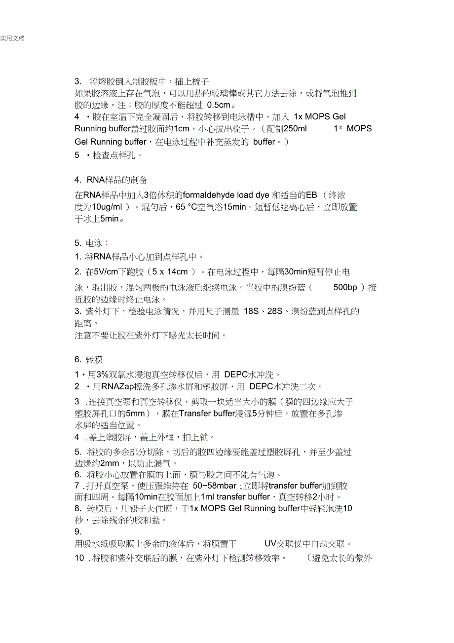 NorthernBlot原理及实验方法_第3页