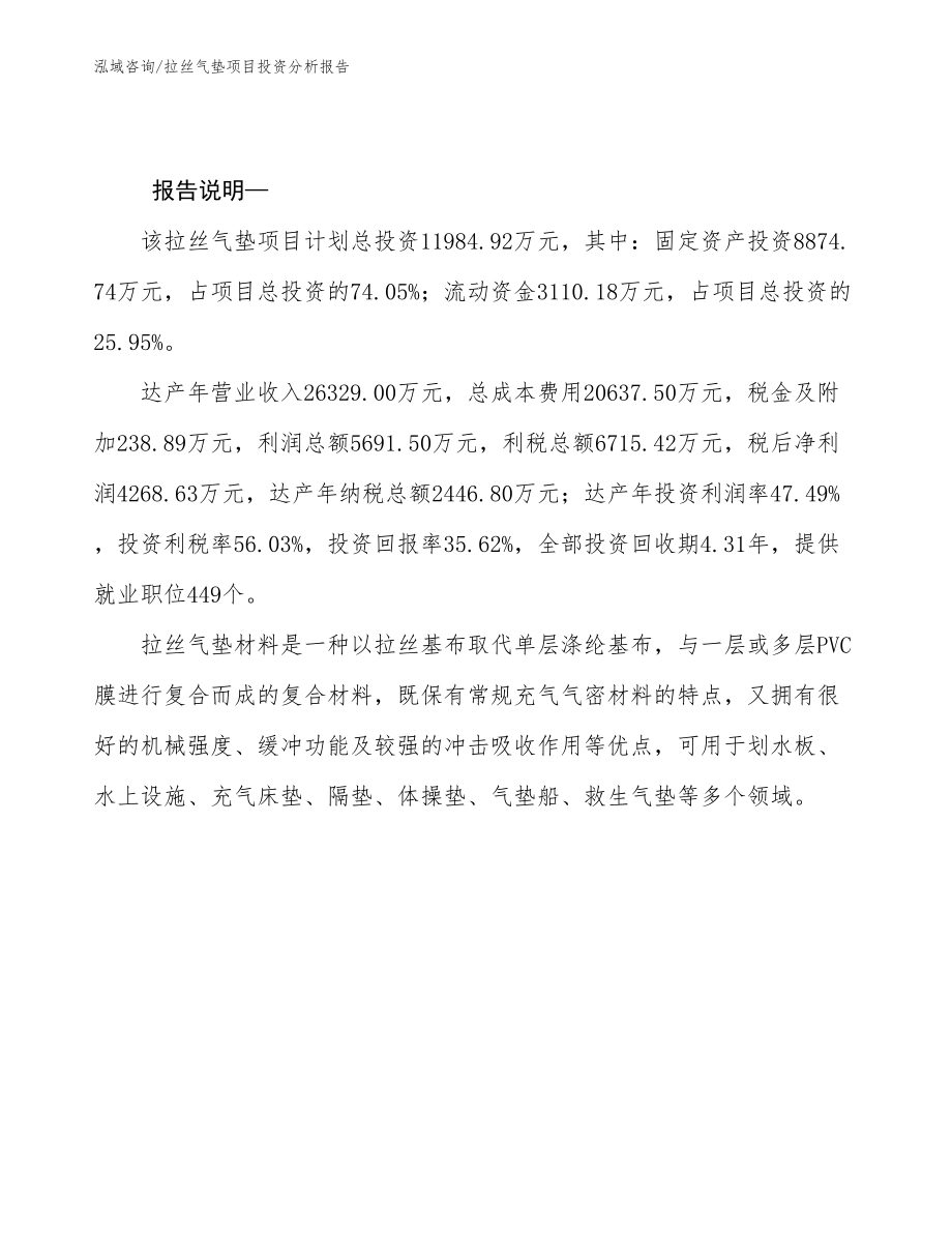 拉丝气垫项目投资分析报告_第2页