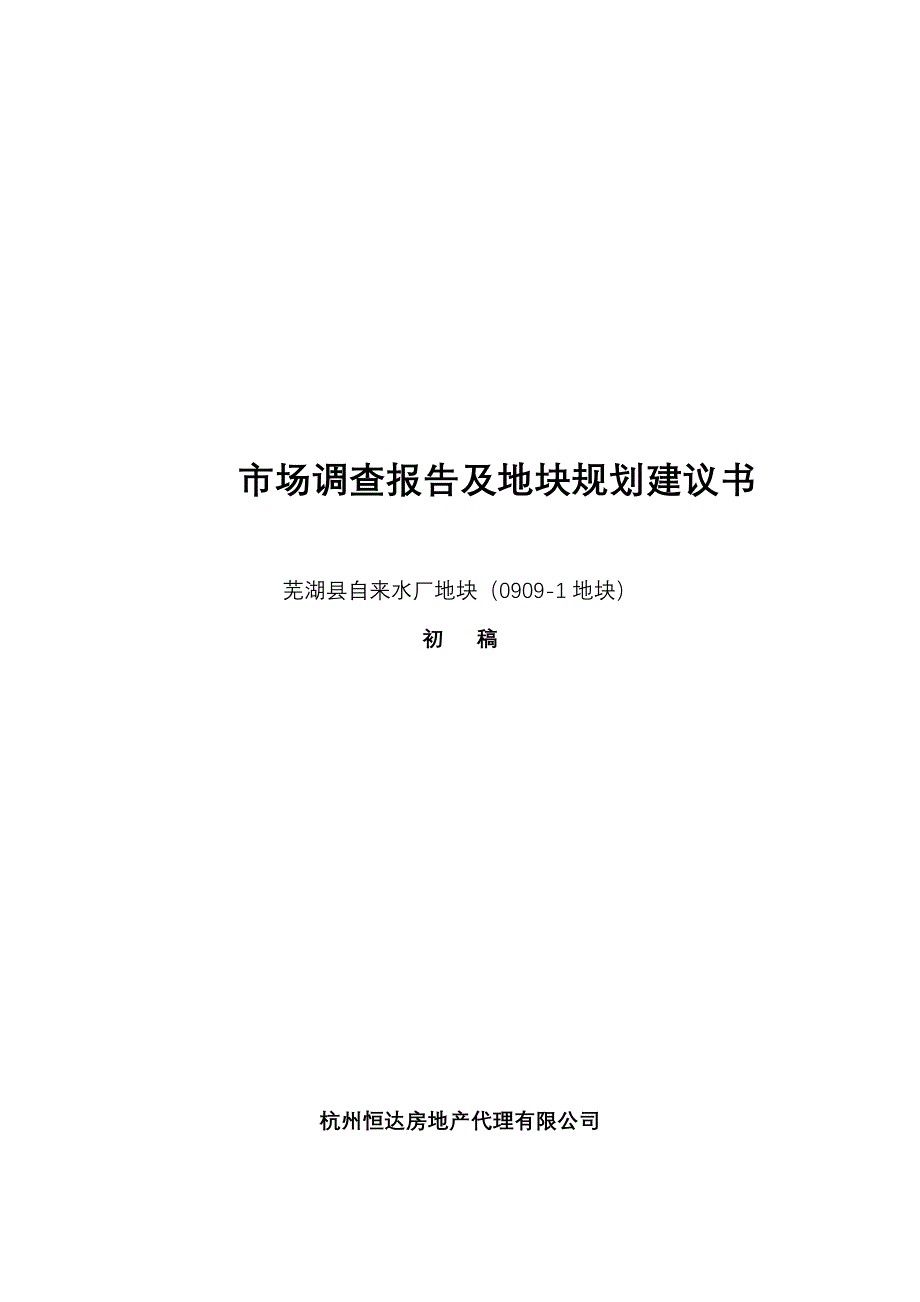 芜湖项目市场调查报告_第1页