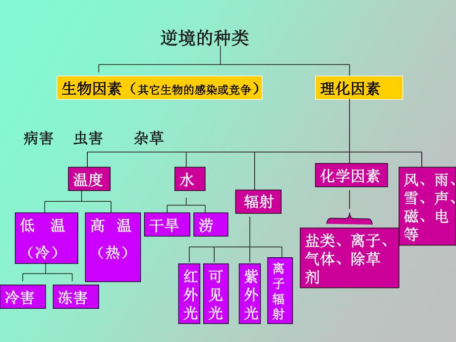 植物生理学第十二章_第2页