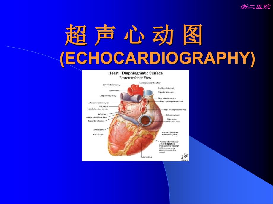 超声心动图(心肌病)_第1页