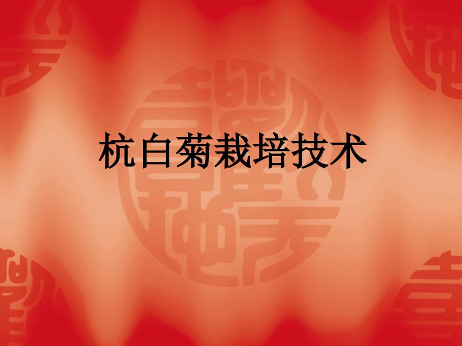 杭白菊栽培技术_第1页
