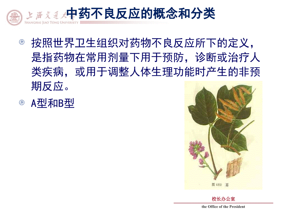 《中药不良反应》PPT课件_第4页