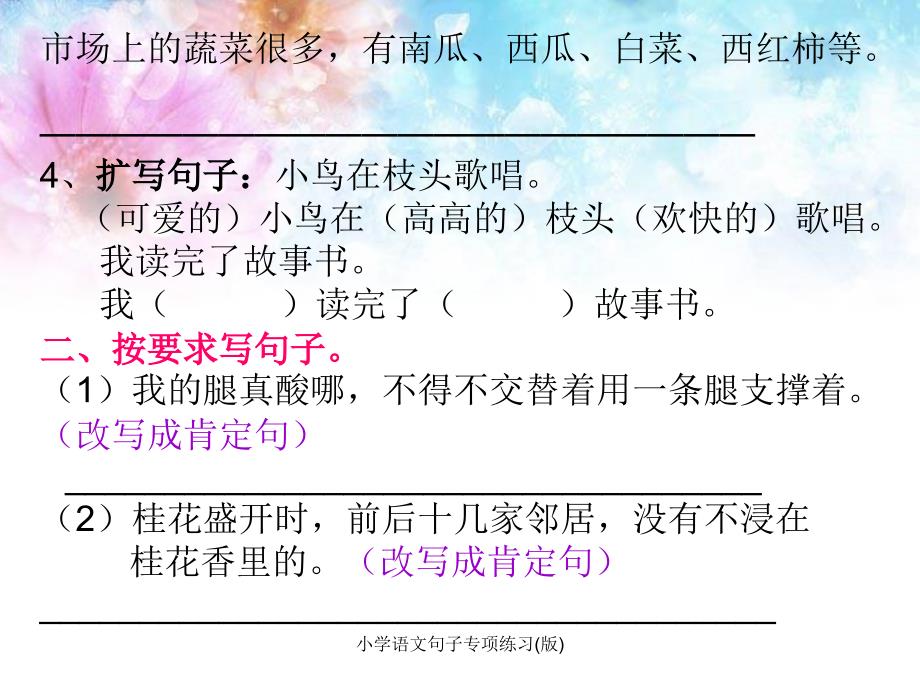 小学语文句子专项练习(版)_第3页