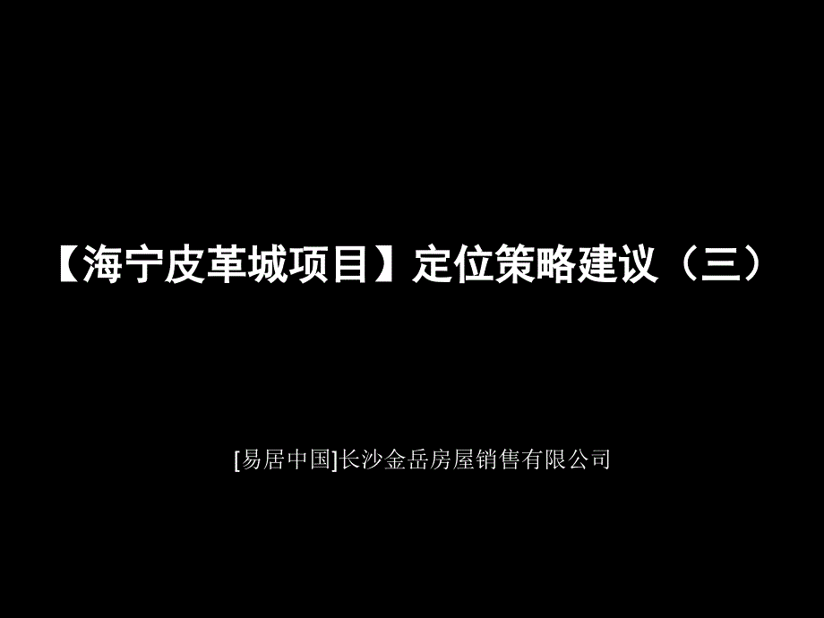 易居中国：【海宁皮革城项目】定位策略建议三_第1页