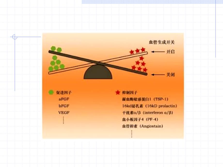 血管生成与肿瘤PPT课件_第4页