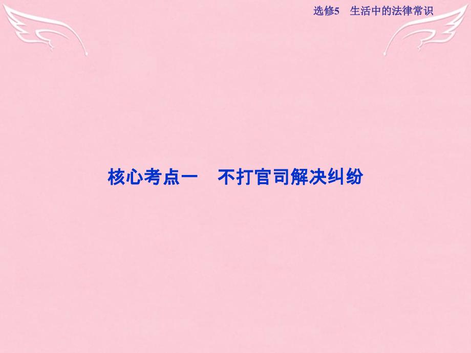 2022届高考政治总复习专题六法律救济课件新人教版选修5_第3页