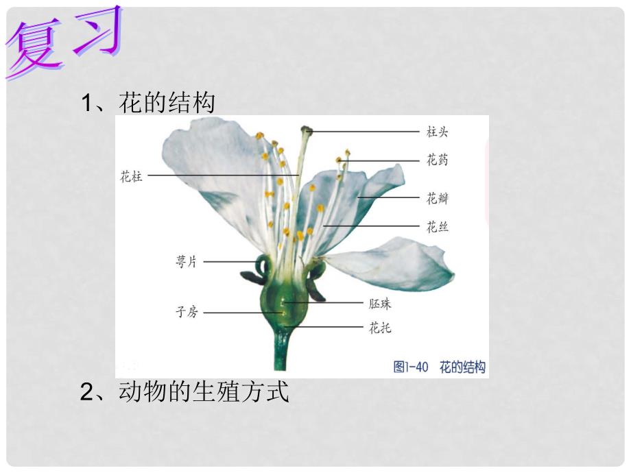 七年级科学下册 1.5《植物生殖方式的多样性》（第1课时）课件1 浙教版_第1页