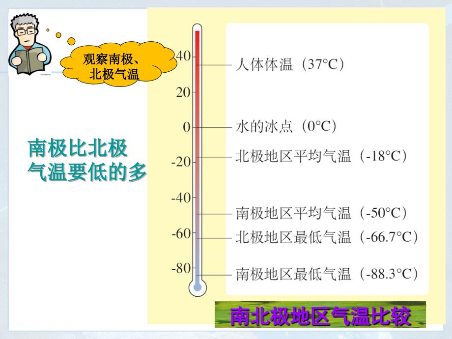 七年级地理下册极地地区_第4页