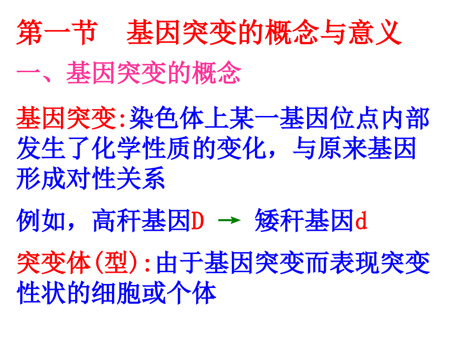 遗传学6基因突变课件_第3页