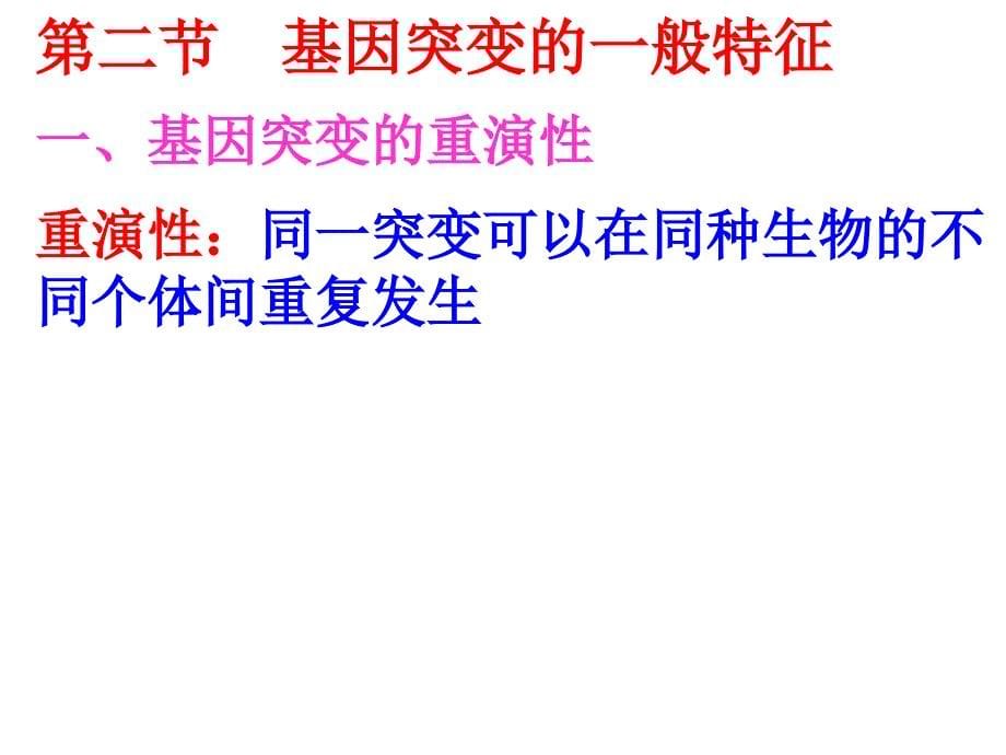 遗传学6基因突变课件_第5页