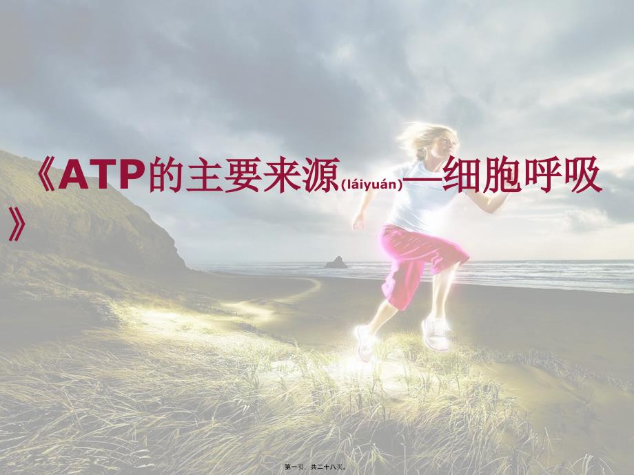 ATP的主要来源细胞呼吸说课稿详解课件_第1页