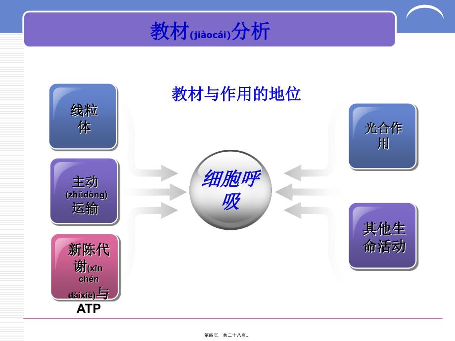 ATP的主要来源细胞呼吸说课稿详解课件_第4页