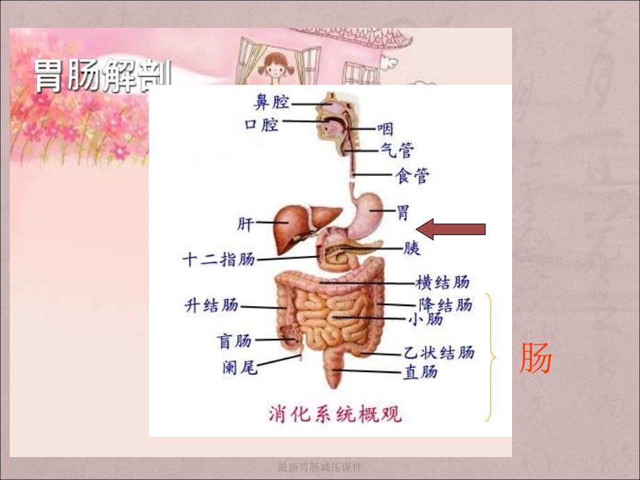 胃肠减压课件_第4页