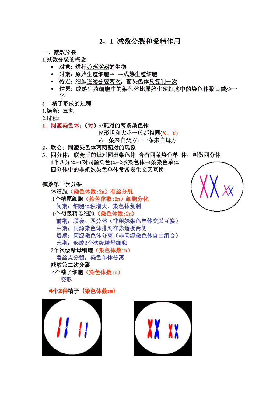 2.1减数分裂和受精作用教案2教学文档_第2页