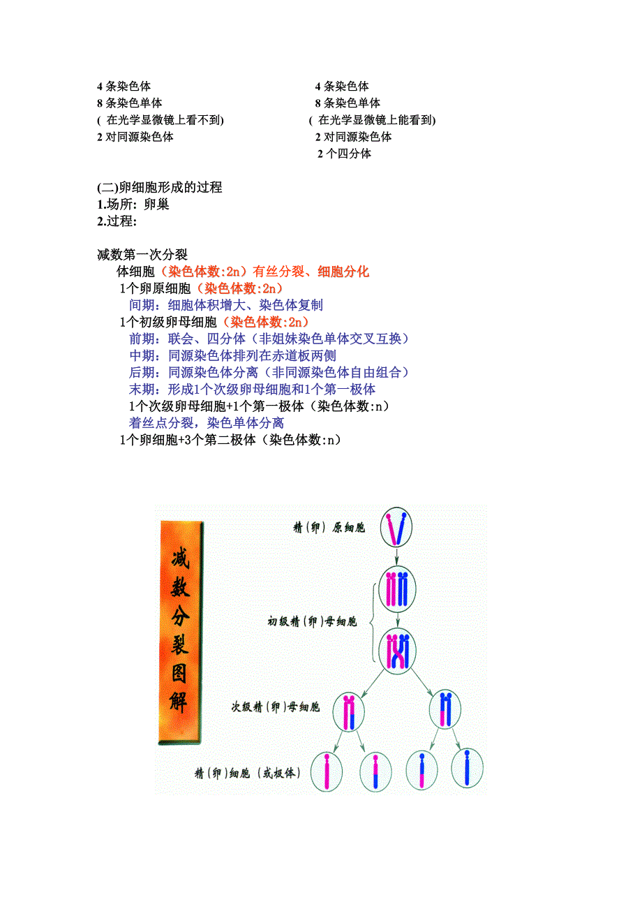 2.1减数分裂和受精作用教案2教学文档_第3页