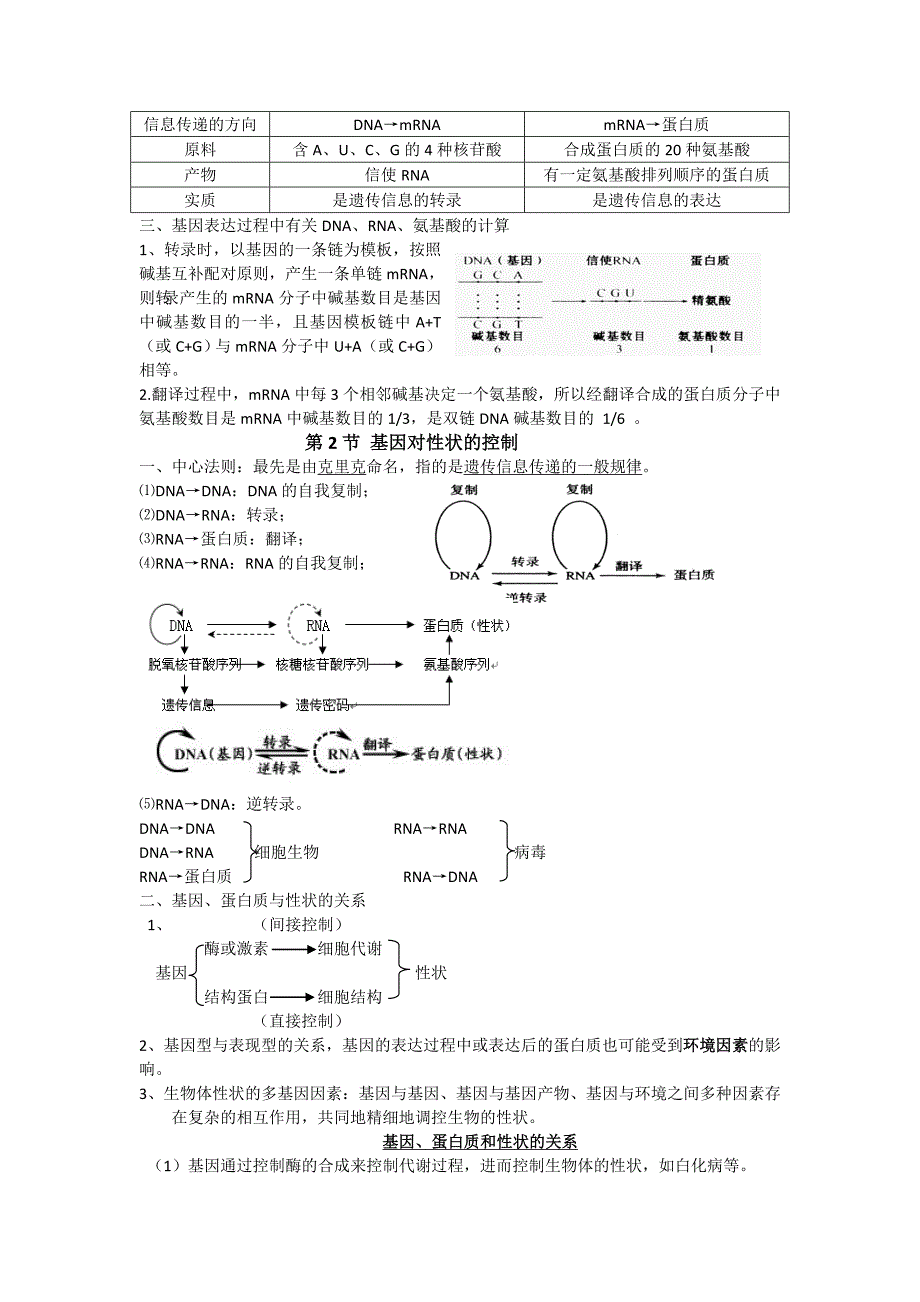 教育专题：必修2 第4章 基因的表达_第3页