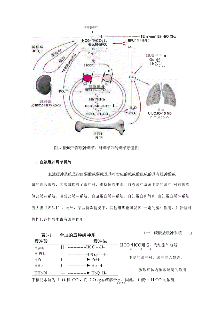 酸碱平衡失调_第2页