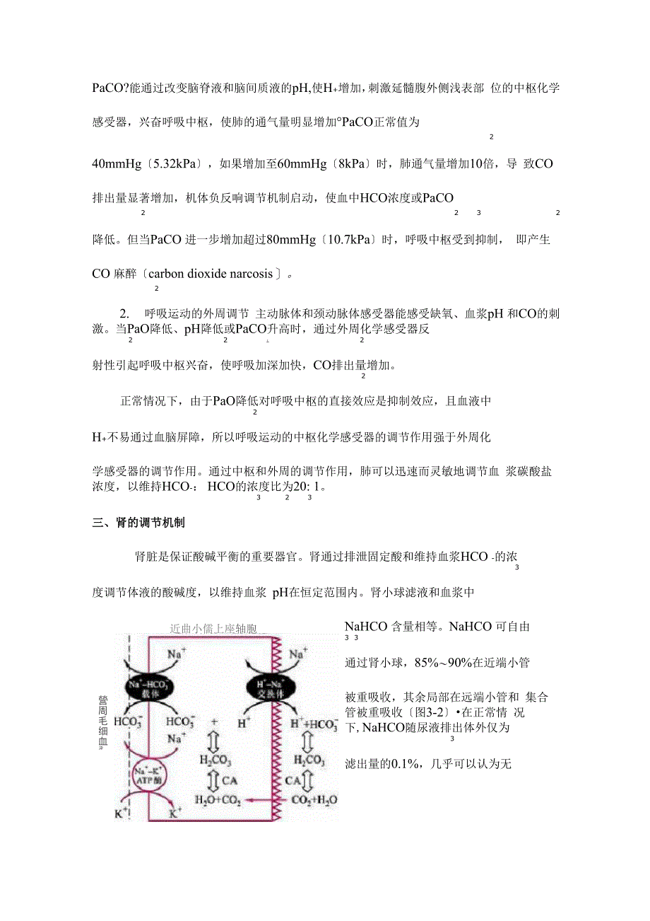 酸碱平衡失调_第4页