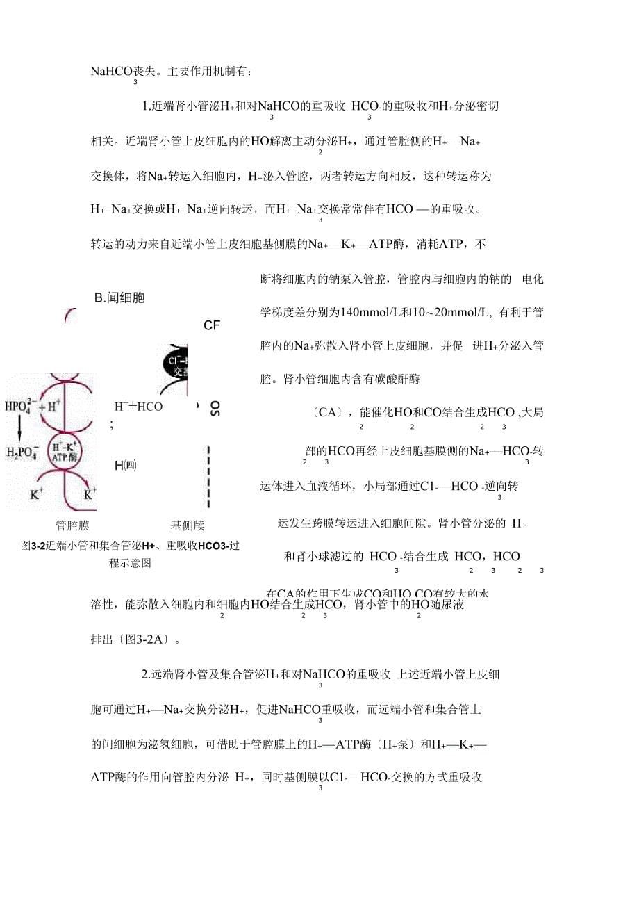 酸碱平衡失调_第5页