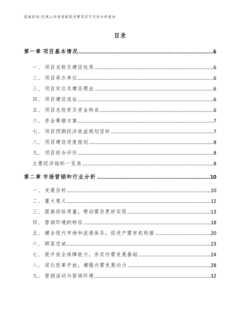 武夷山市培育新型消费项目可行性分析报告_第2页