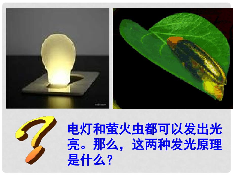 四川省仪陇宏德中学高中生物《52 细胞的能量通货 ATP》课件 新人教版必修1_第3页