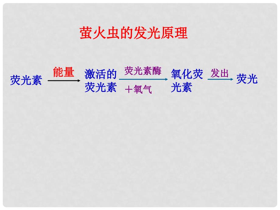 四川省仪陇宏德中学高中生物《52 细胞的能量通货 ATP》课件 新人教版必修1_第4页