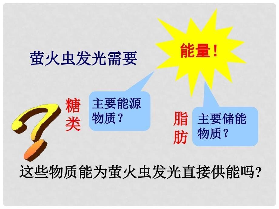 四川省仪陇宏德中学高中生物《52 细胞的能量通货 ATP》课件 新人教版必修1_第5页